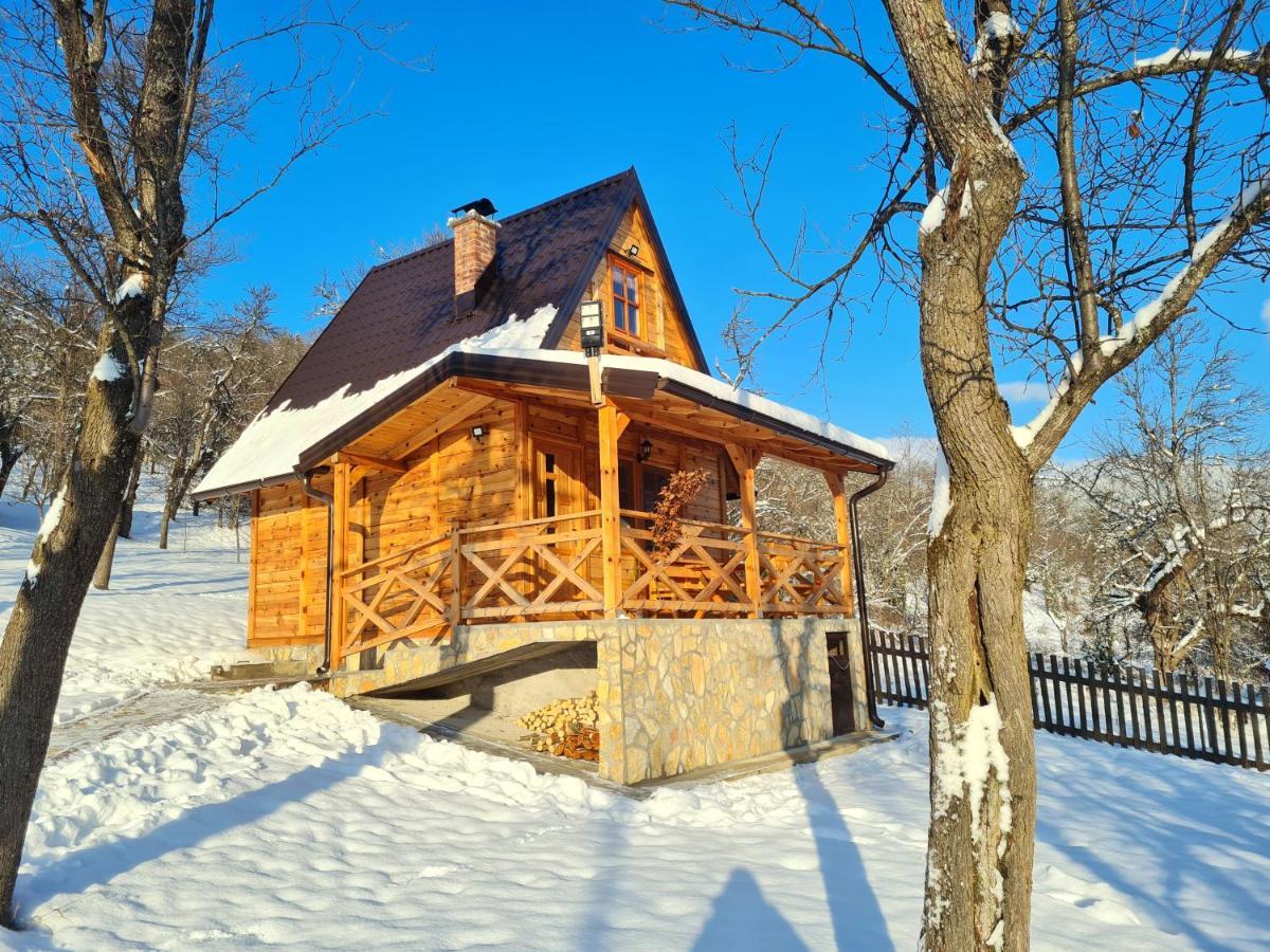 Guest House Rankic Mokra Gora Eksteriør billede