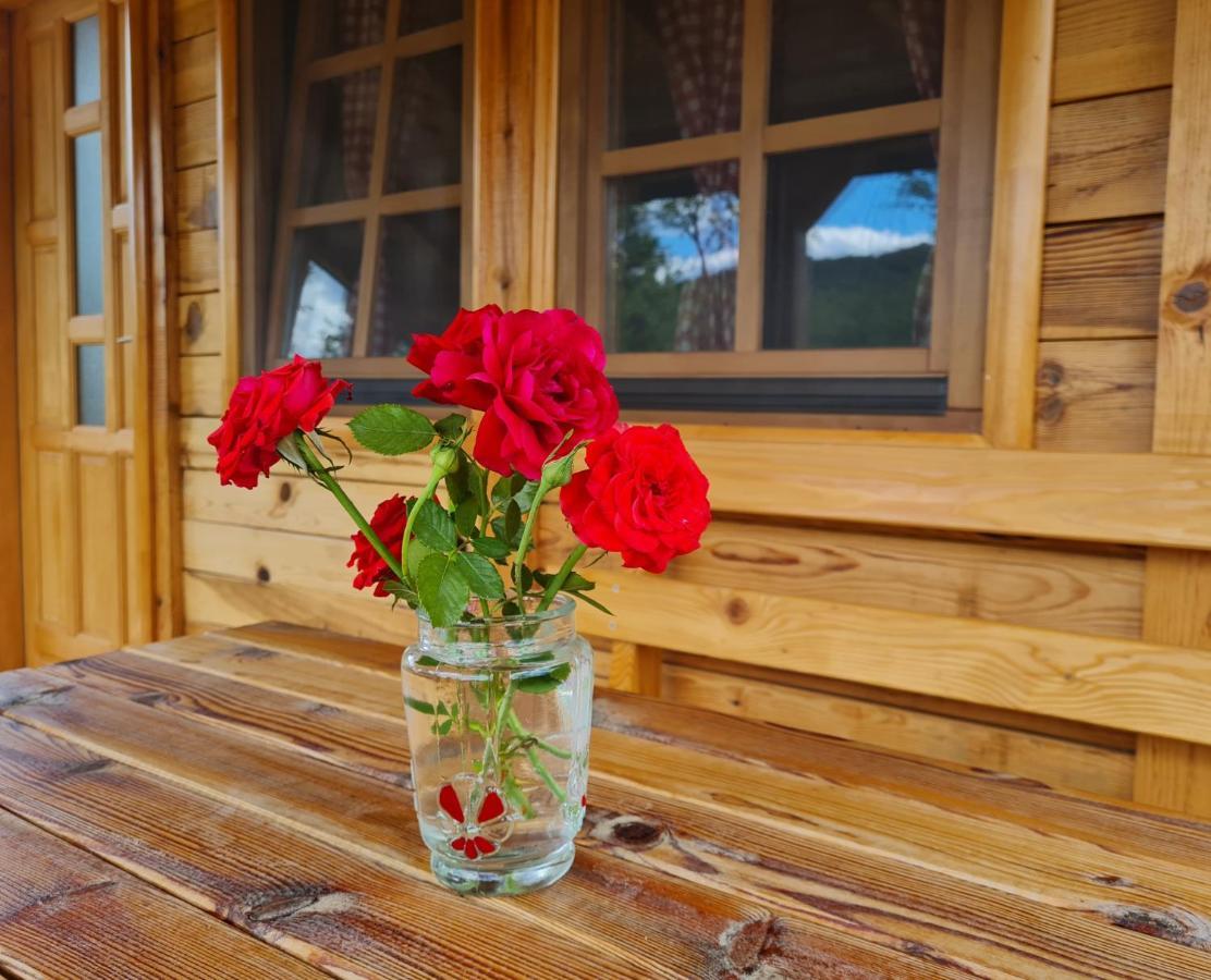 Guest House Rankic Mokra Gora Eksteriør billede